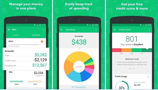 Mint app to earn money for college student